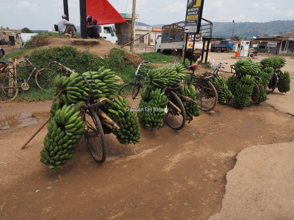 Ugandan farmers cycle their bananas to local markets.