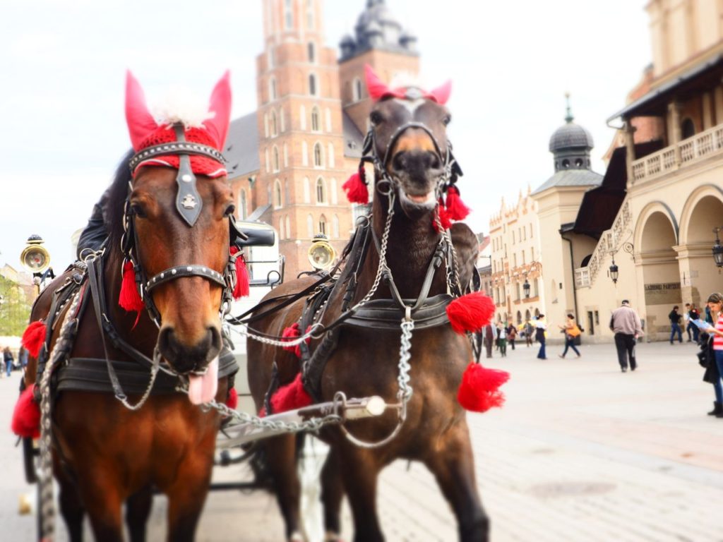 More impressions from downtown Krakow. Image: Alison Binney