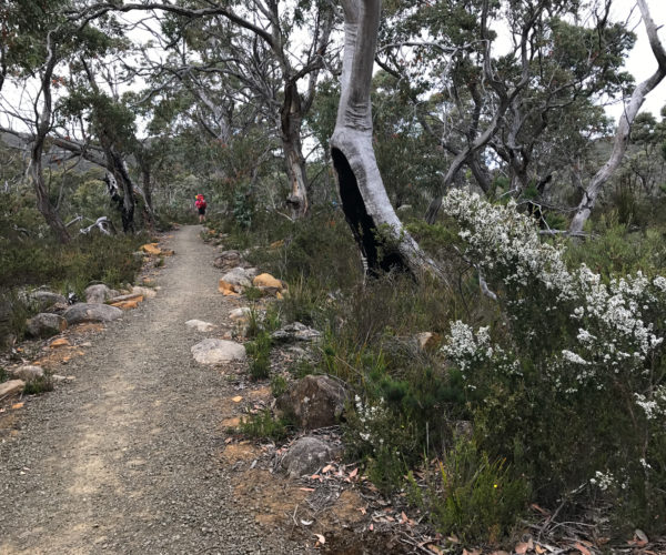 Walking the Three Capes track in Tasmania